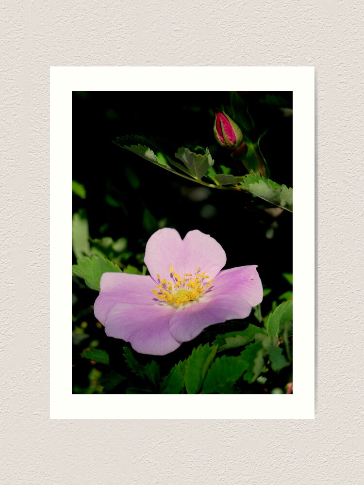 Alternate view of The Love of Before and After Art Print