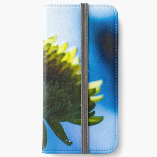 Holy iPhone Wallet