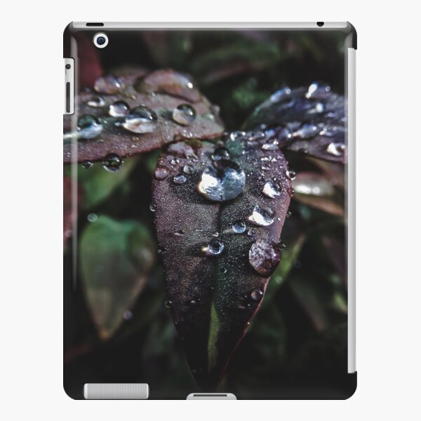 Rainy leaves iPad Snap Case