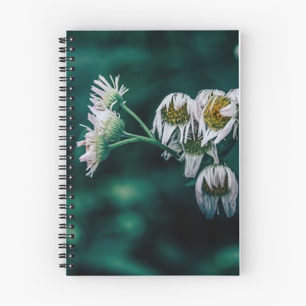 Item preview, Melancholy designed and sold by Koukichi Takahashi.
