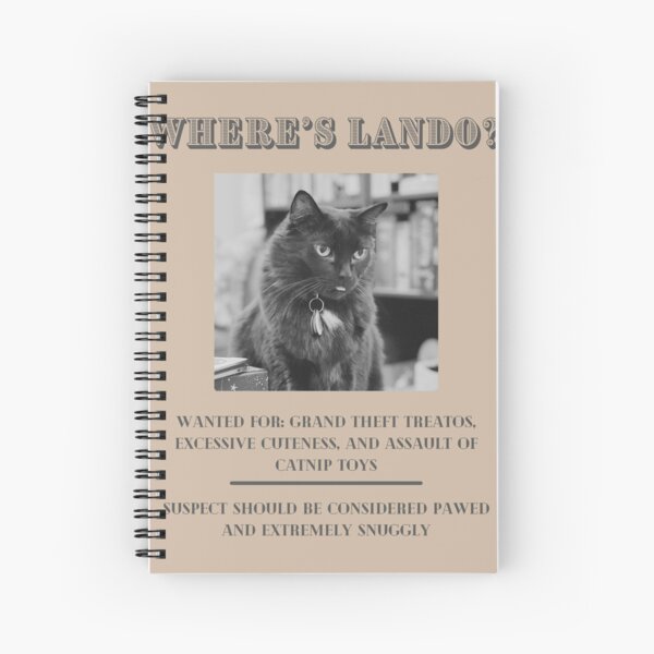 Vista previa del artículo con la obra «Lando quería Póster», diseñado y vendido por TCF-and-friends.