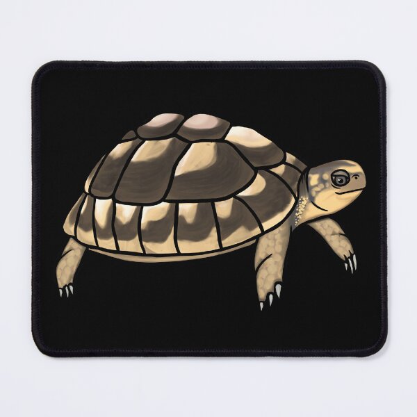 Item preview, Cute Tortoise for Tortoise Lovers designed and sold by Mochi-Merch.