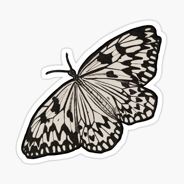 Butterfly - Sticker 1 Sticker