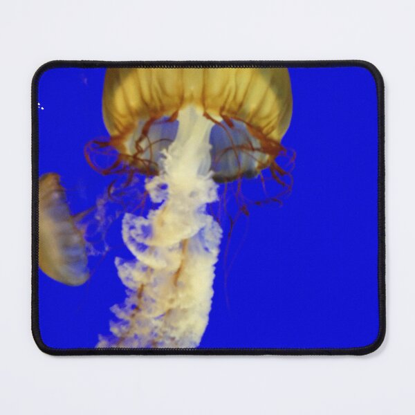 Item preview, Jellyfish designed and sold by Amber Opphile.