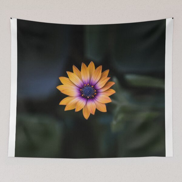 Item preview, Closeup shot of an orange flower with blurred background designed and sold by ZafranOnline.