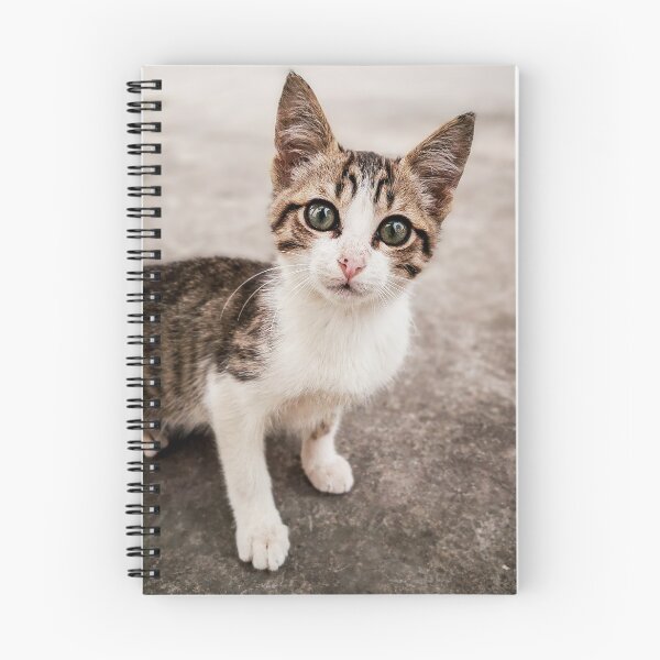Item preview,  Little wild  tabby cat with a green eyes  designed and sold by anisbbmbrush.