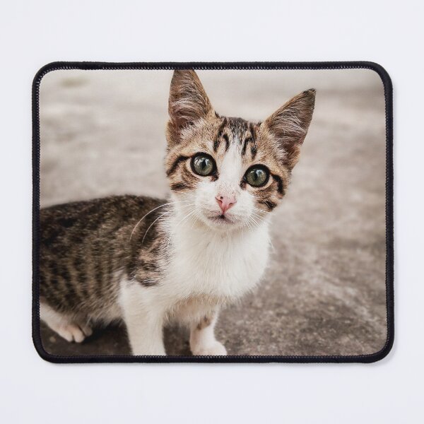 Item preview,  Little wild  tabby cat with a green eyes  designed and sold by anisbbmbrush.