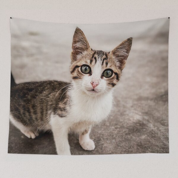 Item preview,  Little wild  tabby cat with a green eyes  designed and sold by anisbbmbrush.