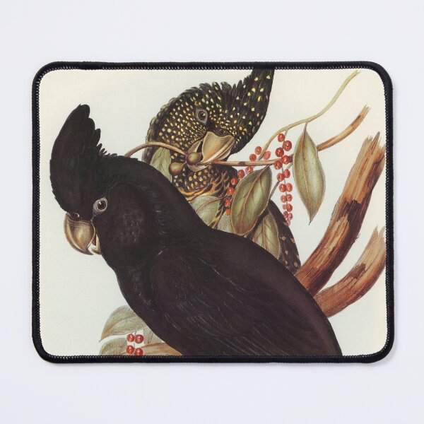 Item preview, Black Banksian Cockatoo, Vintage Birds of Australia, Elizabeth Gould designed and sold by Yeldiz.