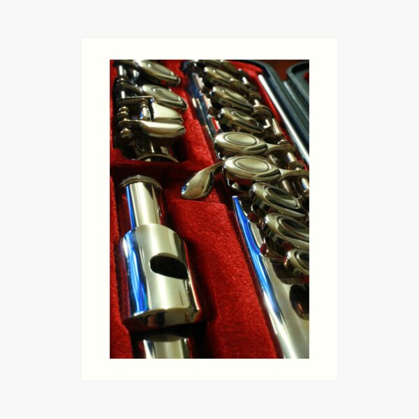 Flute Art Print