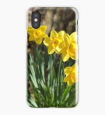 Daffodils iPhone Case/Skin