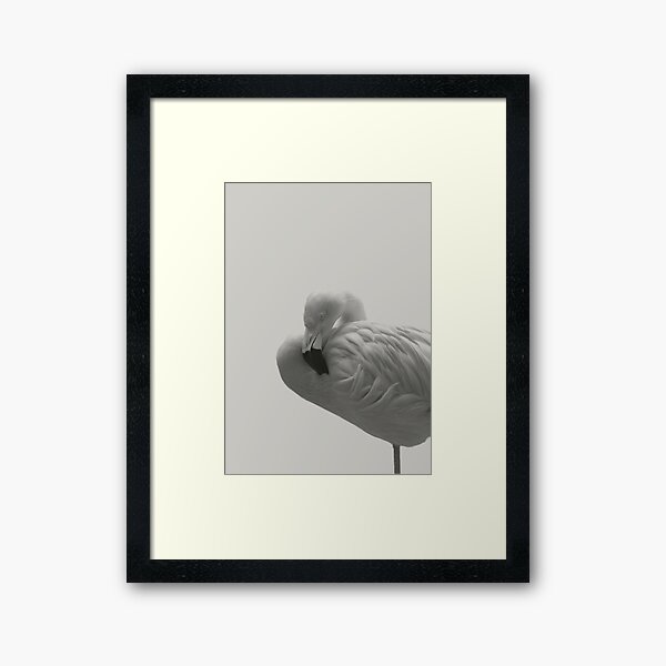 Flamingo 08 Gerahmter Kunstdruck