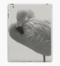 Flamingo 08 iPad-Hülle & Klebefolie