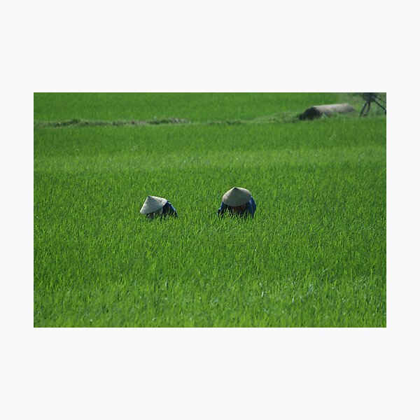 Back Breaking Photographic Print