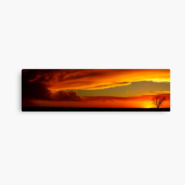 Now We Are Free Canvas Print