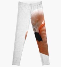 Flamingo 09 Leggings