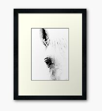 Horse 01 Gerahmtes Wandbild