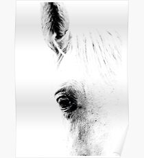 Horse 01 Poster