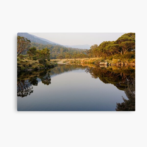 Item preview, Bush Evening designed and sold by Harry Oldmeadow.