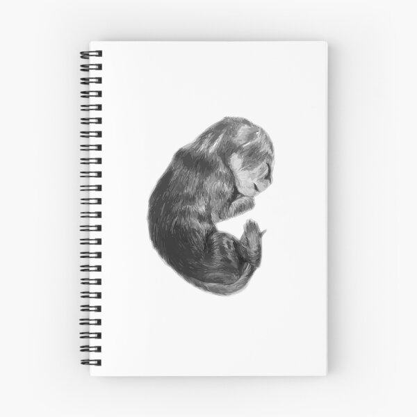 Item preview, Newborn Kitten - Sleep Well designed and sold by likethestream.