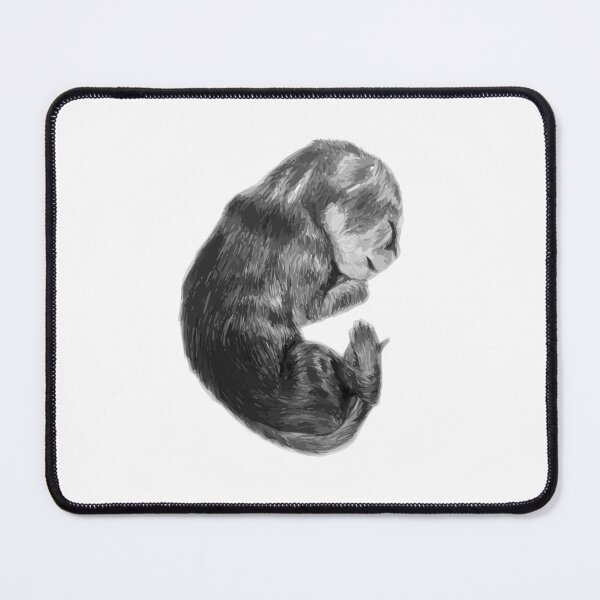 Item preview, Newborn Kitten - Sleep Well designed and sold by likethestream.