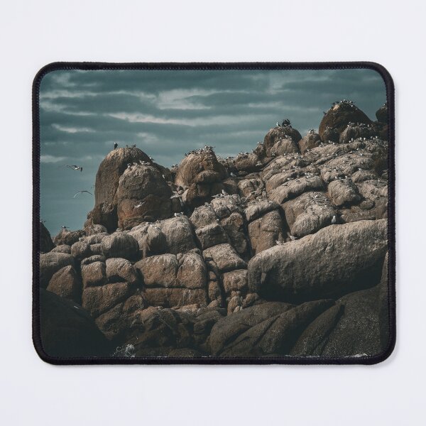 Item preview, Seal Island at Encounter Bay SA designed and sold by Candy Jubb.