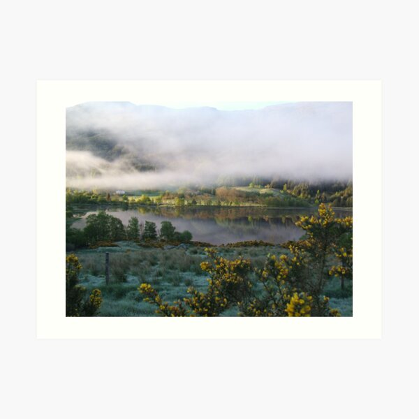 dawn mist Art Print