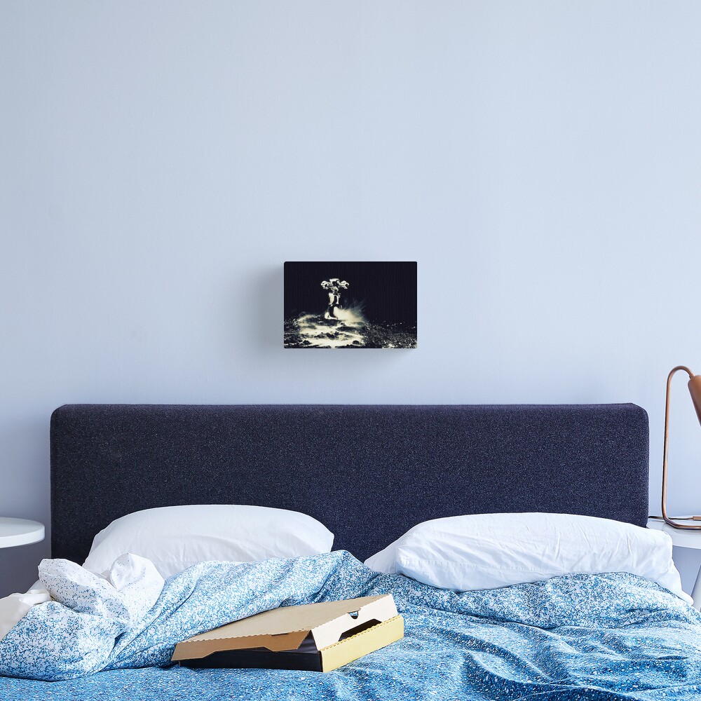 Item preview, Canvas Print designed and sold by DBailey.