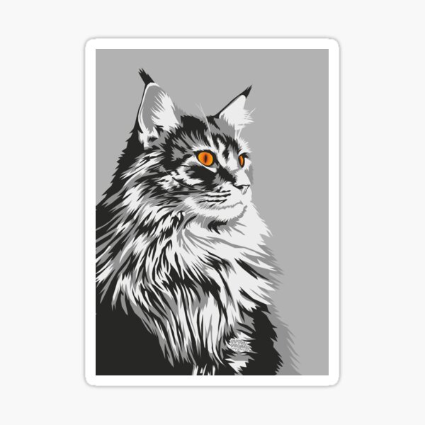 Portrait maine coon N&B - Print Sticker