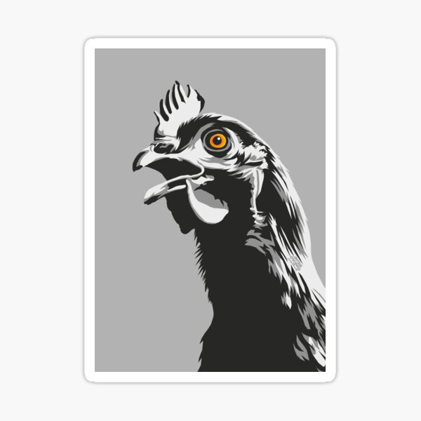 Portrait poule N&B - Print Sticker