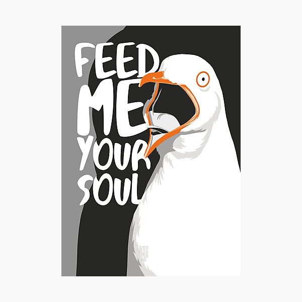 Portrait mouette "Feed me your soul" N&B - Print Impression photo