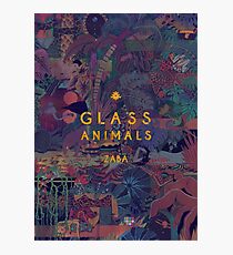 Glass Animals Zaba Photographic Print