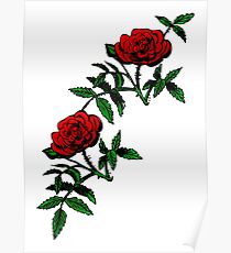 Color Rose Poster