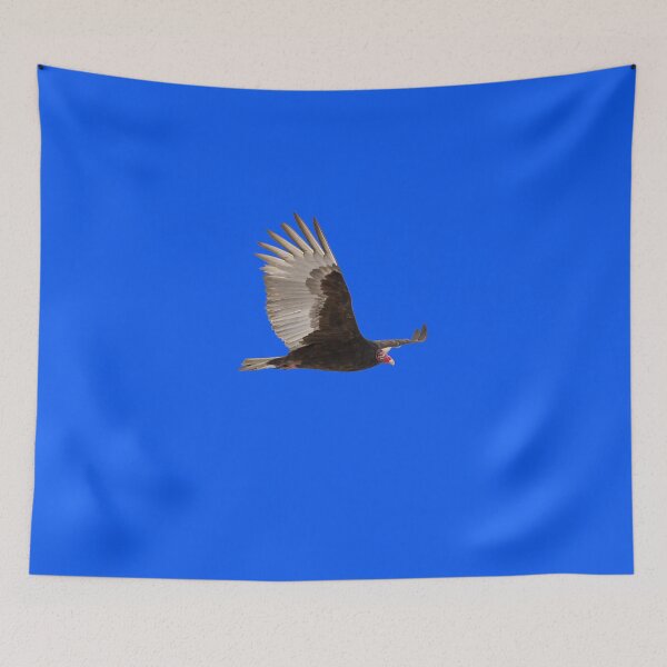 Item preview, Isolated Turkey Vulture 2014-1 Sticker designed and sold by OvidiuRobert.