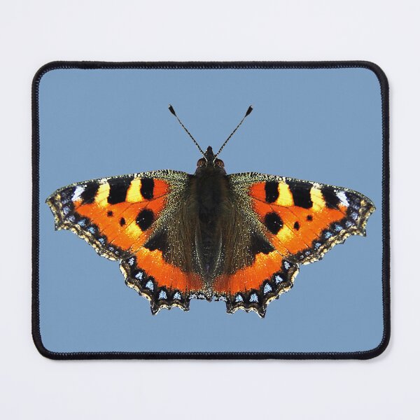 Item preview, Tortoiseshell Butterfly designed and sold by Murph's Images.