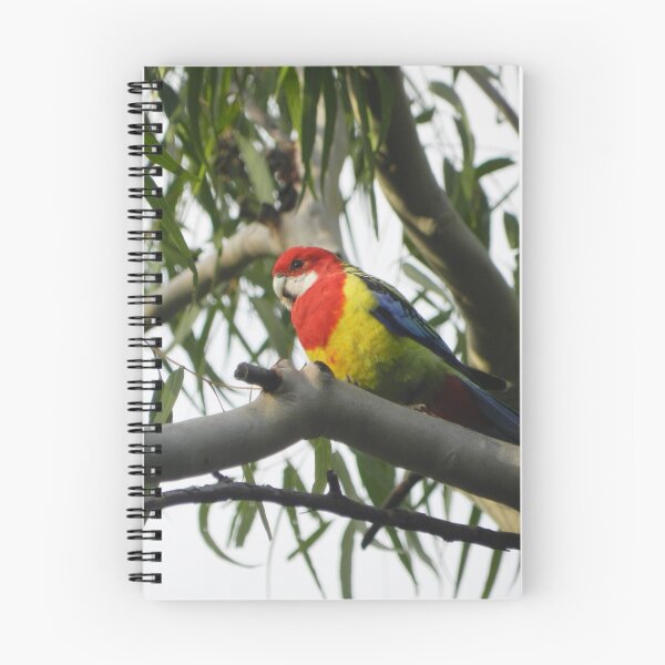 Item preview, Lory designed and sold by Maria Meijer.