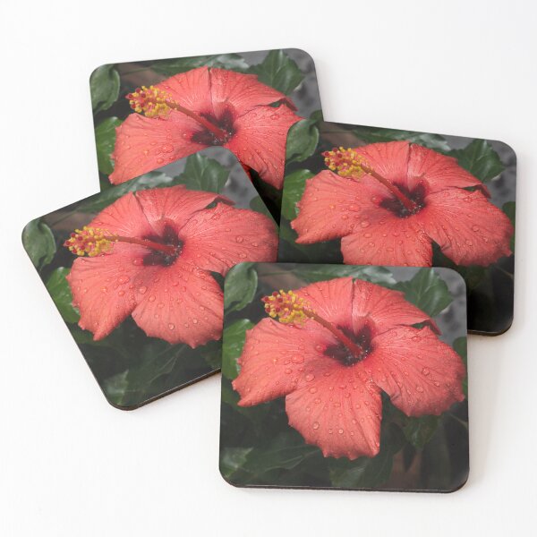 Item preview, Tropical Exotics - Jewel Toned Hibiscus Bloom with Raindrops designed and sold by Georgia Mizuleva.