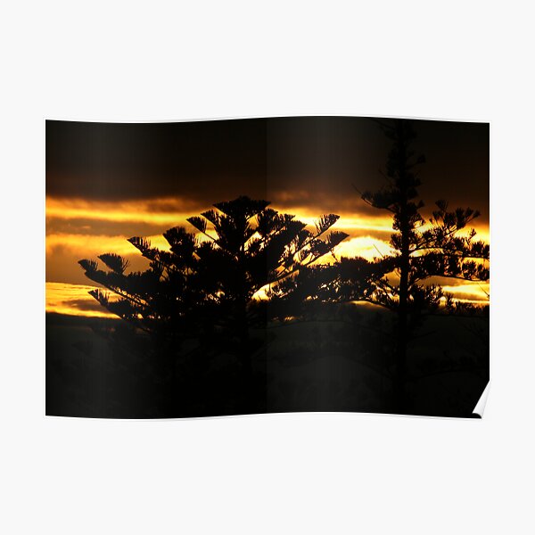 Silhouette Poster