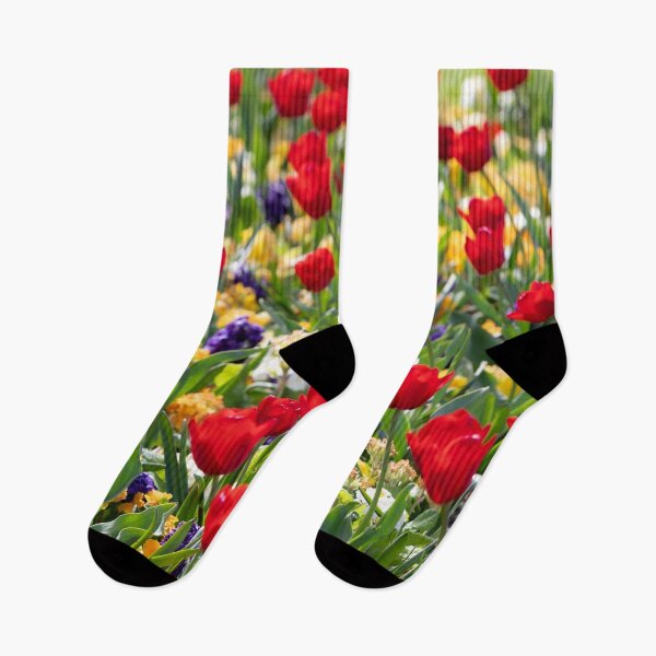 Artikelvorschau, Rote Tulpen entworfen und verkauft von Dave Hare Photography.
