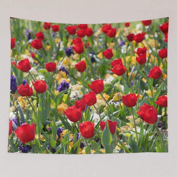 Artikelvorschau, Rote Tulpen entworfen und verkauft von Dave Hare Photography.