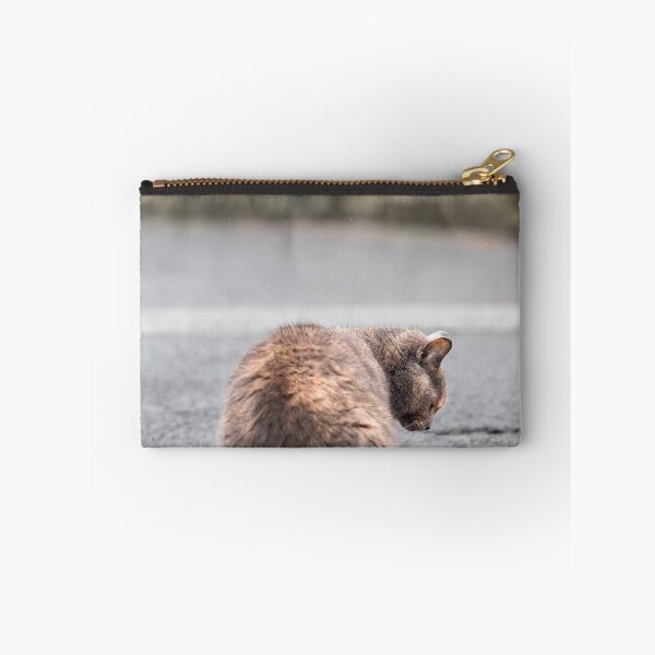 Item preview, Cat and Puddle | Cat Seeking Reflection designed and sold by PhotosByVille.