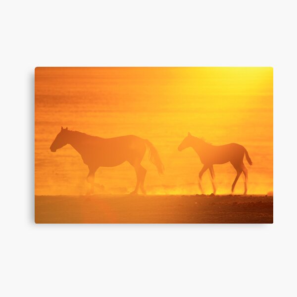 Sunset Walk Canvas Print