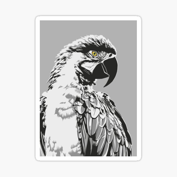 Portrait perroquet ara N&B - Print Sticker
