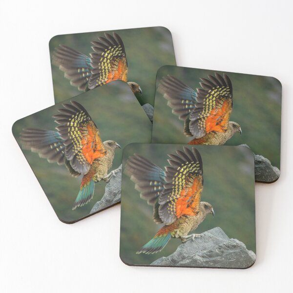 Item preview, Kea designed and sold by Alex Stojan.