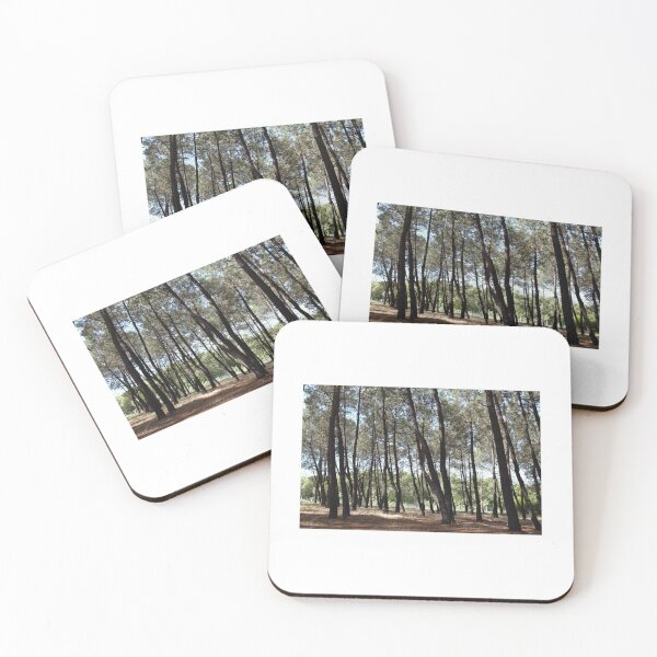 Item preview, Pine tree forest lanscape. Dense forest of tall pine trees designed and sold by FairyOfCherries.