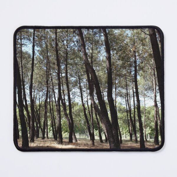 Item preview, Pine tree forest lanscape. Dense forest of tall pine trees designed and sold by FairyOfCherries.