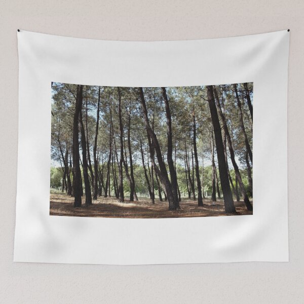 Item preview, Pine tree forest lanscape. Dense forest of tall pine trees designed and sold by FairyOfCherries.