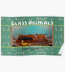 Glass Animals Season 2 Episode 3 Poster