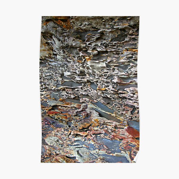 Rock Face Poster