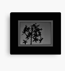 Terrestrial Orchid Silhouette Canvas Print